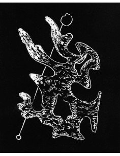 Glass Plate : Marie Negative glass-plate : drypoint drawing on plat...