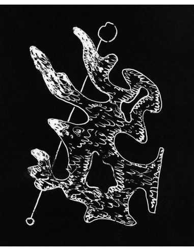 Glass Plate : Marie Negative glass-plate : drypoint drawing on plat...