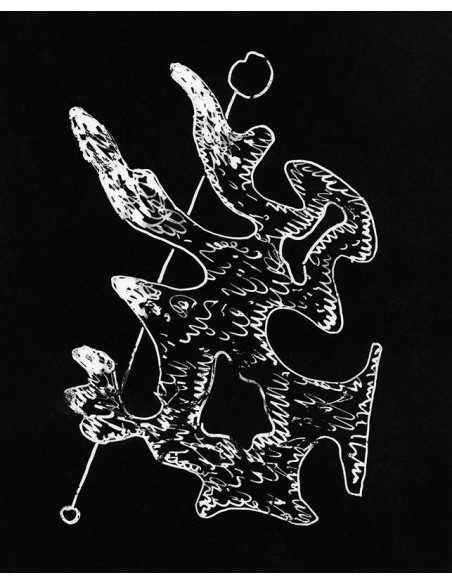 Glass Plate : Marie Negative glass-plate : drypoint drawing on plat...