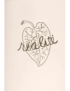 manray|Manray Phtoto|Publishing