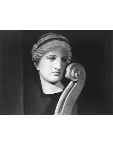 Variant of "En pleine occultation de Venus" Cello neck and scroll i...