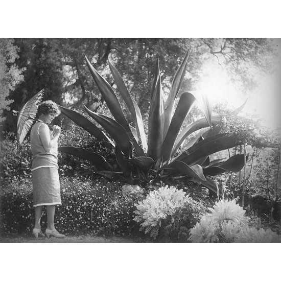 femme devant cactus