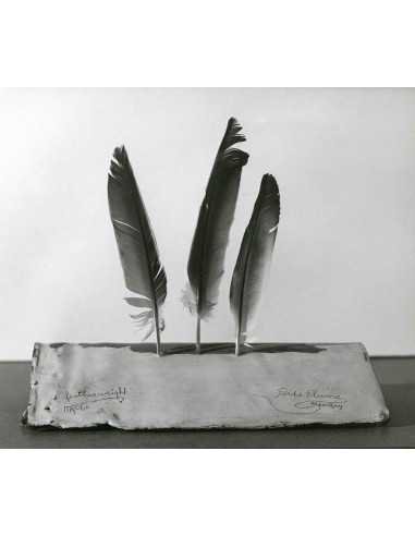 Man Ray|manray photo|manray|Man Ray photo / TELIMAGE|Featherweight I||Objects