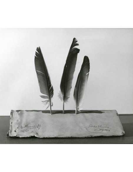 Man Ray|manray photo|manray|Man Ray photo / TELIMAGE|Featherweight I||Objects