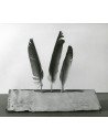Man Ray|manray photo|manray|Man Ray photo / TELIMAGE|Person to Person||Objets