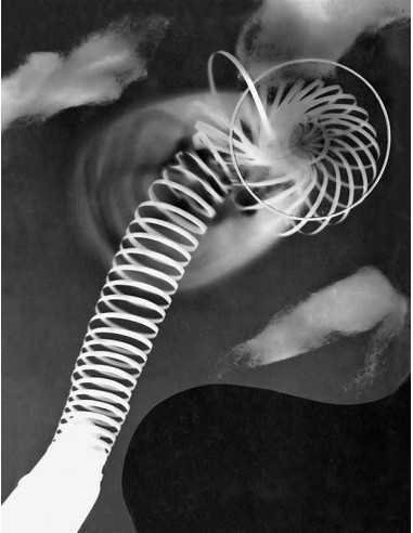 Champs délicieux n°08 Album Champs délicieux n°8, ressort Champs dé...