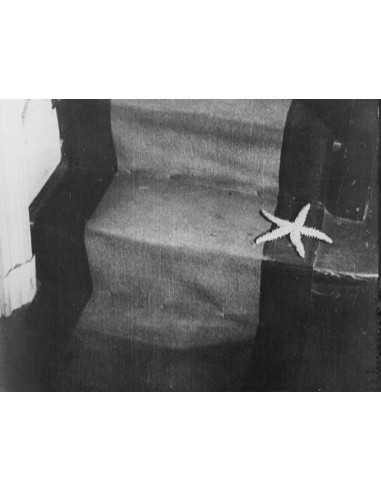 L'Étoile de mer extrait du film de Man Ray - étoile de mer sur marc...