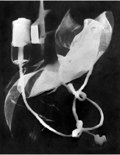 Champs délicieux n°03 rayography extract from the album Champs Déli...