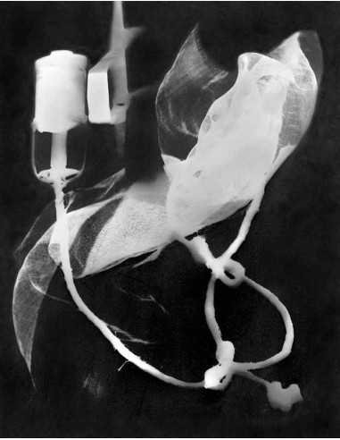 Champs délicieux n°03 rayography extract from the album Champs Déli...