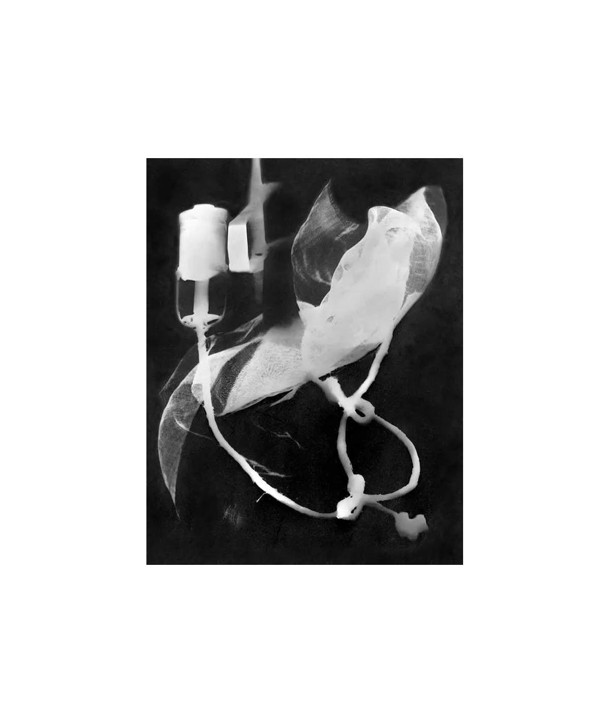 manray|Man Ray photo / TELIMAGE|Champs délicieux n°03||Rayographs