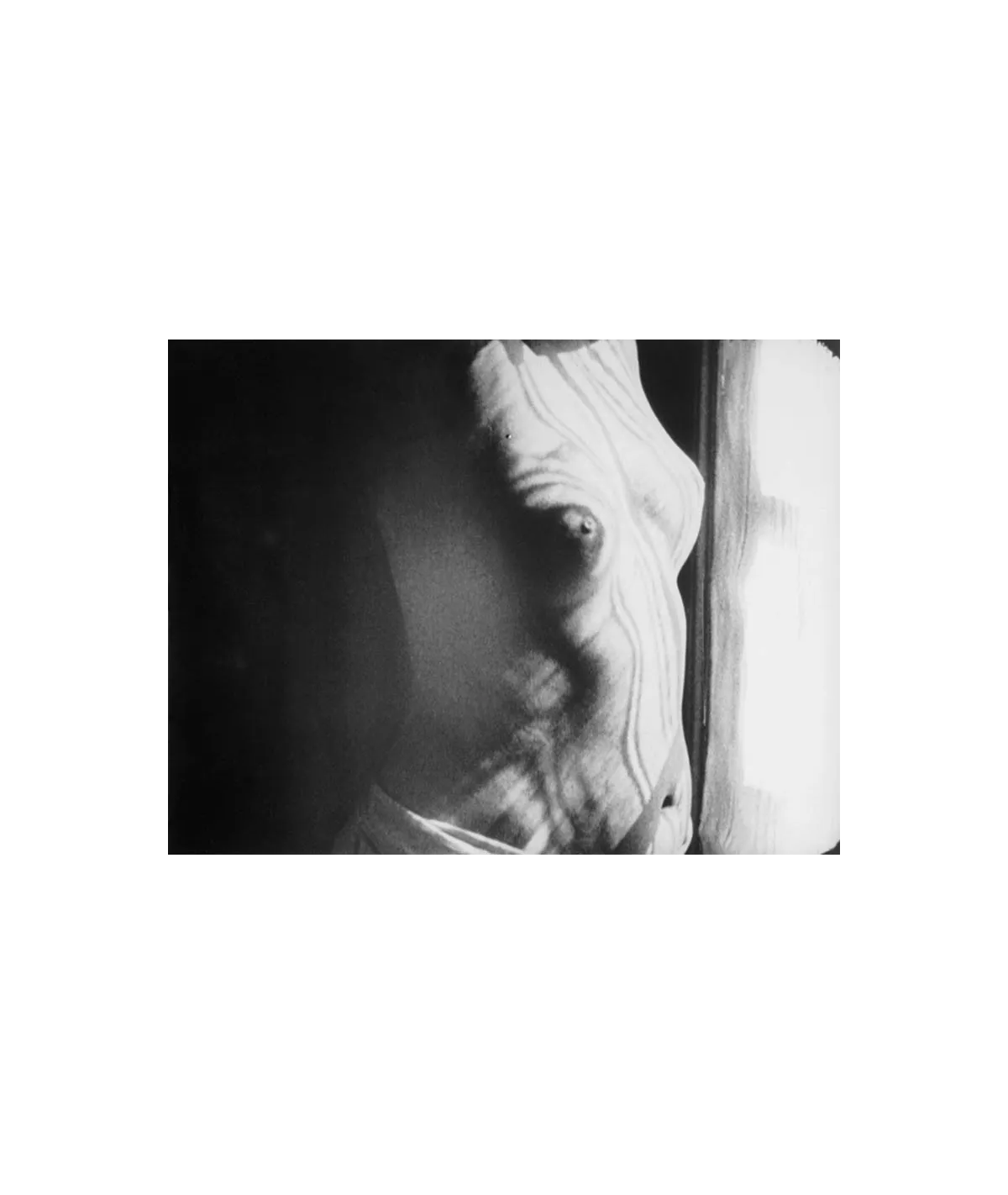 manray|Man Ray photo / TELIMAGE|Le retour à la raison / The Return to Reason||Le Retour à la raison