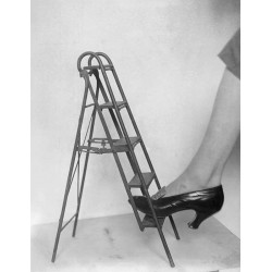 Ladder and shoe