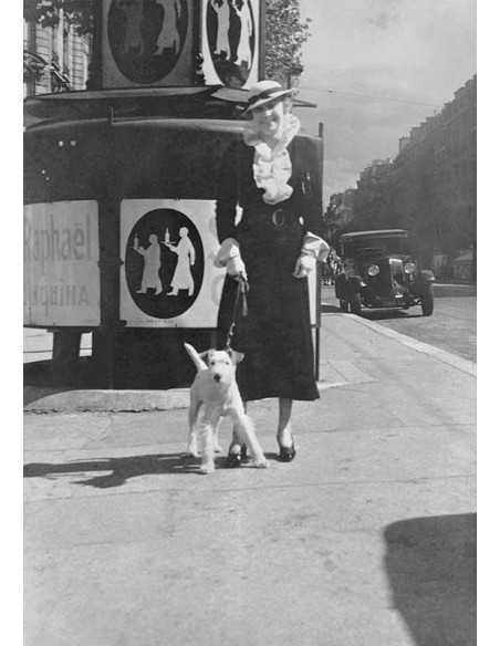 Elegant woman with dog elegant woman walking a fox terrier dog in f...