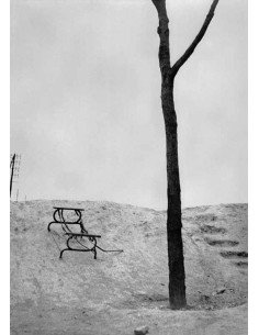 Terrain vague  terrain vague avec arbre mort Album Photographs by M...