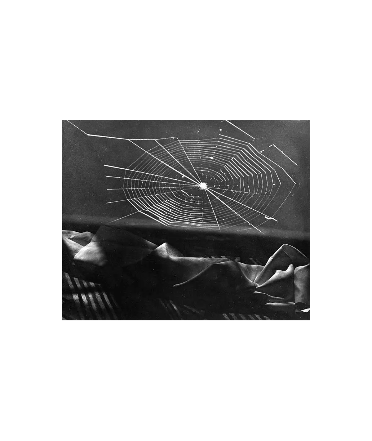 manray|Man Ray photo / TELIMAGE|no title||Photographies