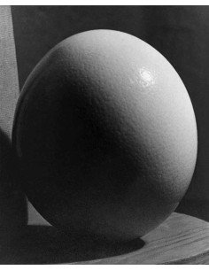 œuf d'autruche œuf d'autruche sur socle de bois œuf d'autruche