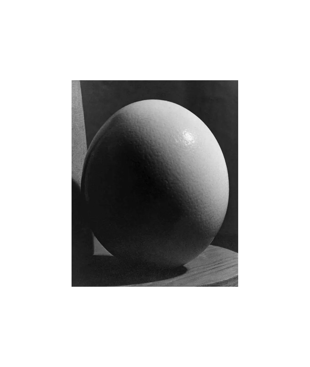 manray|Man Ray photo / TELIMAGE|ostrich egg||Photographies