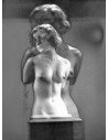 Nude with truncated arms nude bust truncated arms superposition Nud...