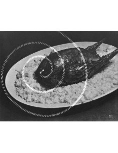 Electricity "Kitchen" rayography roast chicken dish, superimposed r...