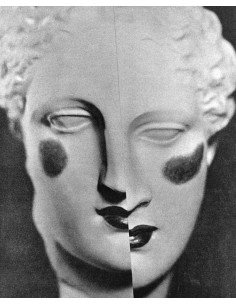 La science de la beauté statue de plâtre maquillé et coupé au milie...