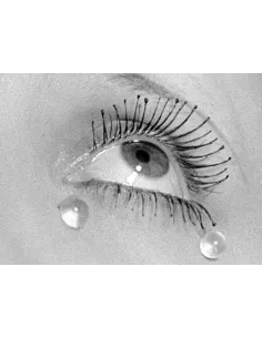 manray|Manray Phtoto|Publishing