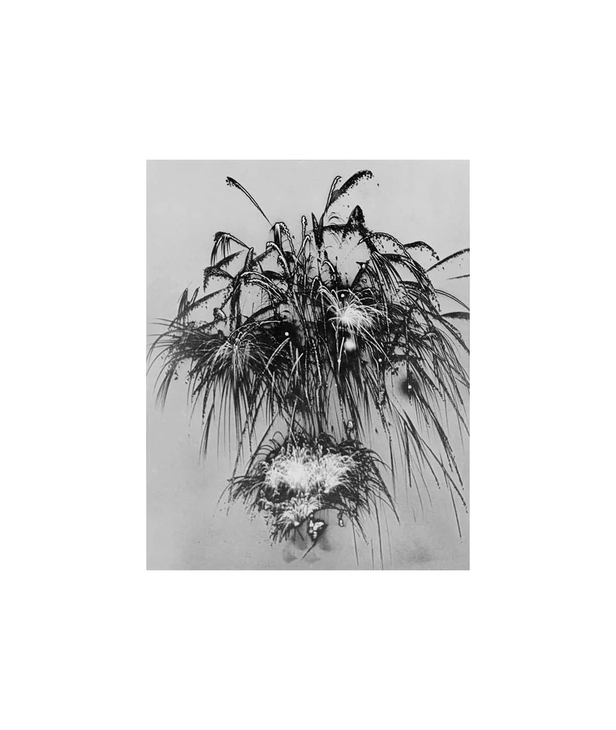 manray|Man Ray photo / TELIMAGE|Le bouquet||Photographies