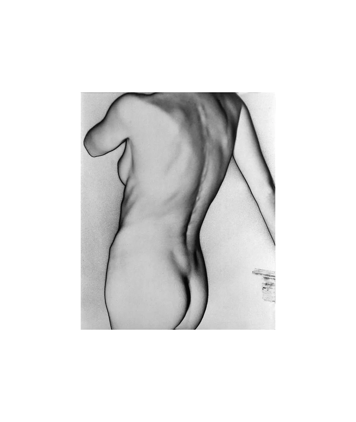 manray|Man Ray photo / TELIMAGE|torse nu de dos - solarisation||Nudes
