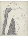 Dessins Nus