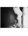 Photogram (image from movie